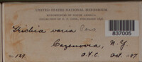 Image Associated With the Occurence